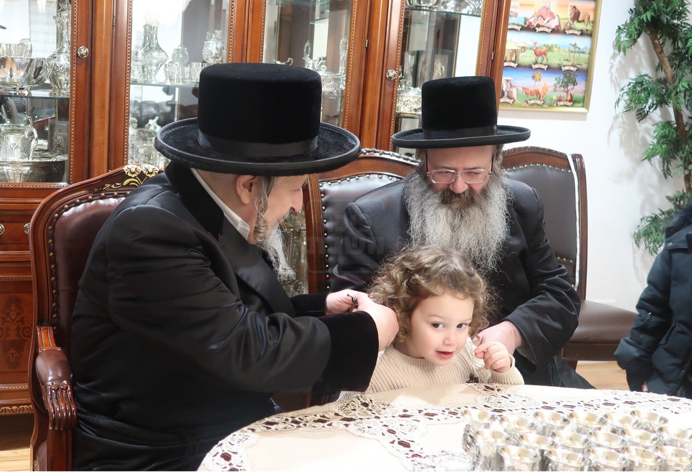 האדמו"ר מסקוליא בחלאקה לנינו