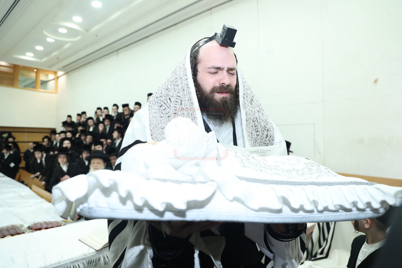 שמחת הברית לנין האדמו"ר מערלוי