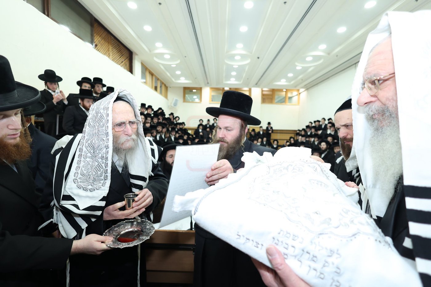 שמחת הברית לנין האדמו"ר מערלוי