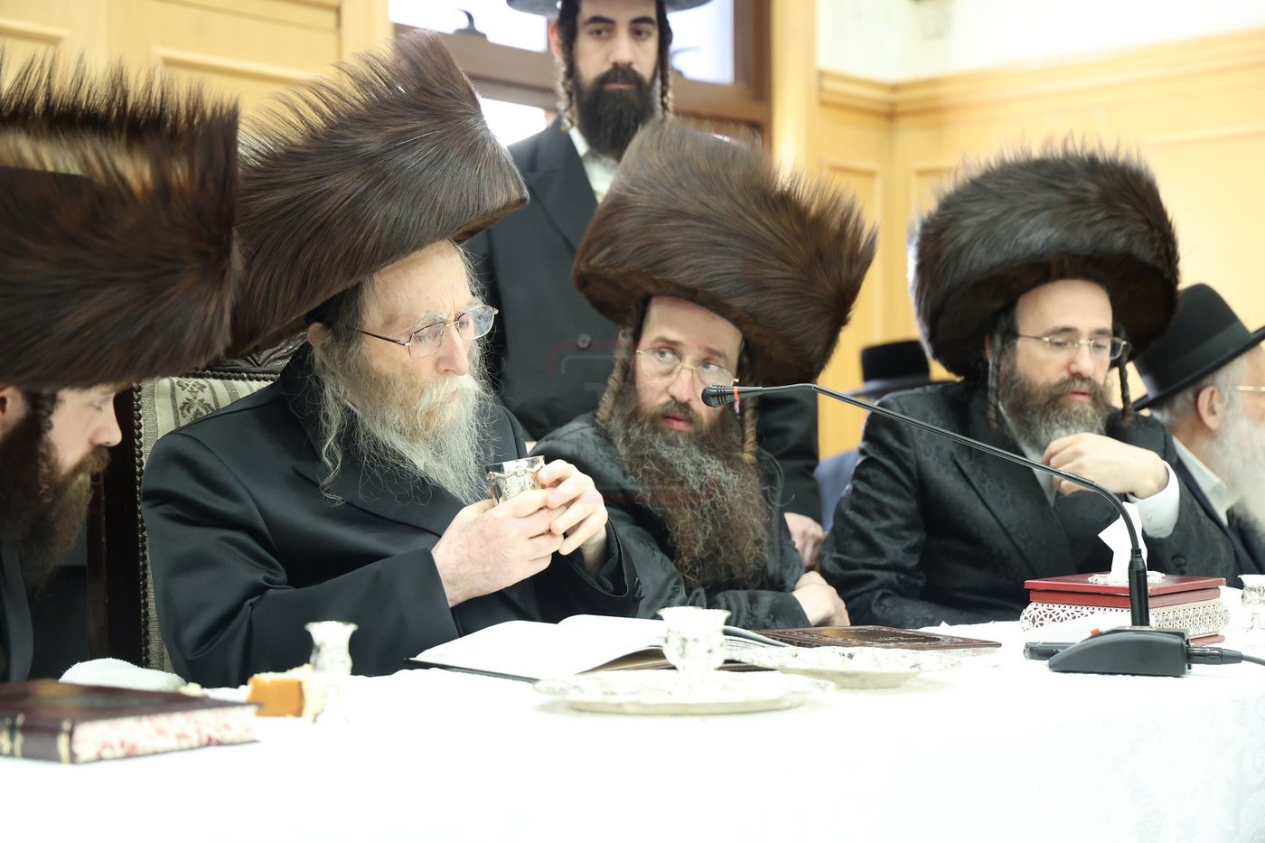 שמחת הברית לנין האדמו"ר מערלוי