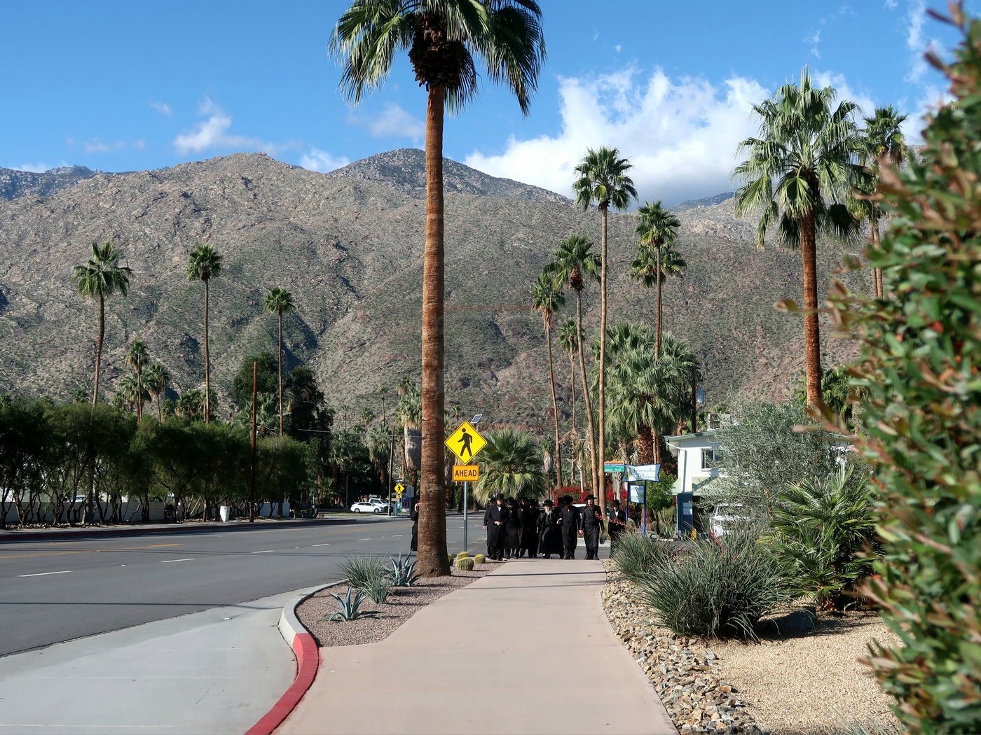האדמו"ר מסאטמר במנוחה בפאלם ספרינגס 
