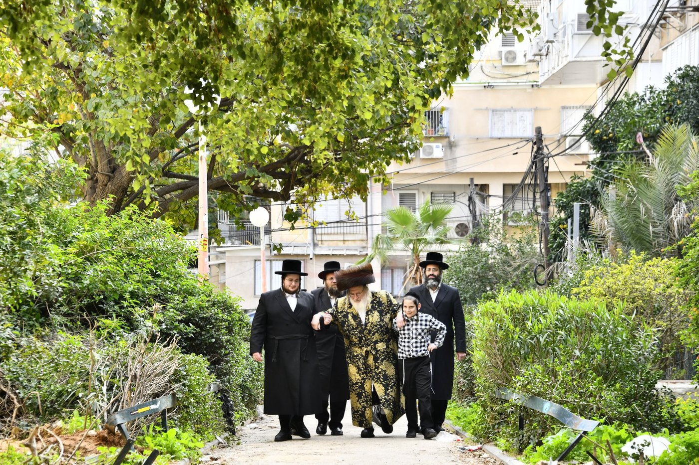פדיון הבן בחצרות ספינקא - קרעטשניף - פרמישלאן