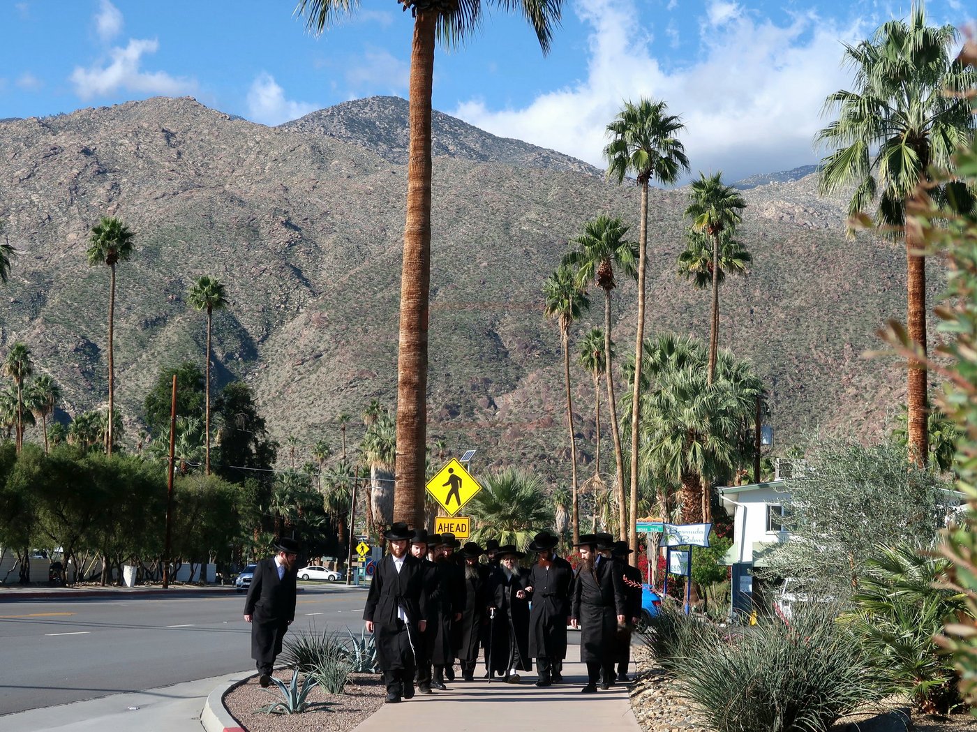 האדמו"ר מסאטמר במנוחה בפאלם ספרינגס 