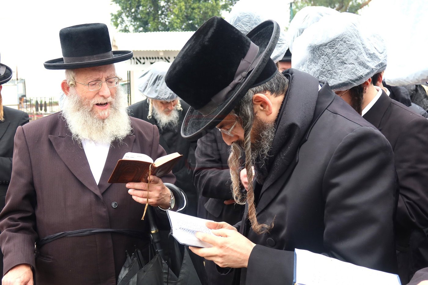 האדמו"ר מזוועהיל בתפילה במקומות הקדושים