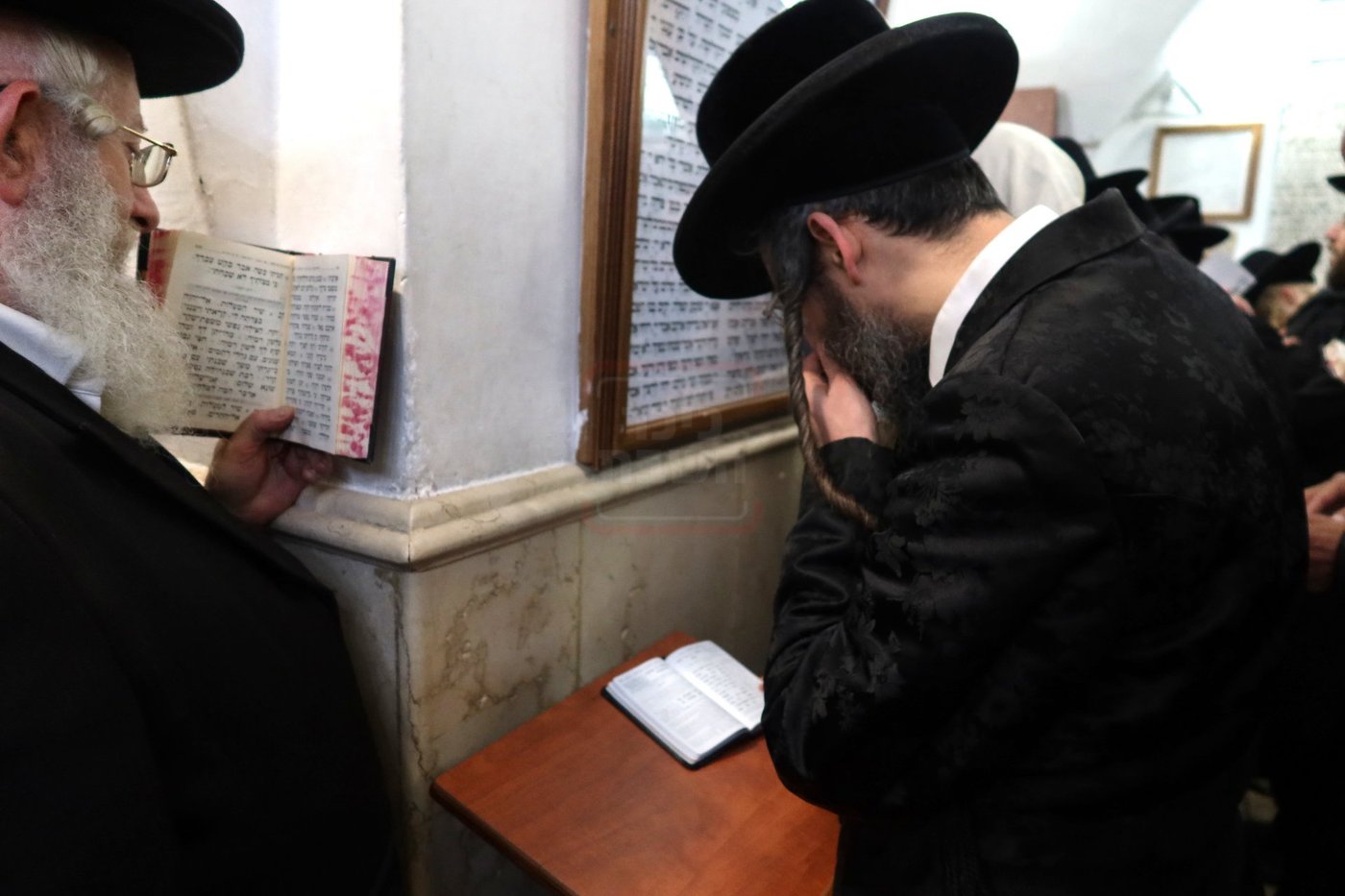 האדמו"ר מזוועהיל בתפילה במקומות הקדושים