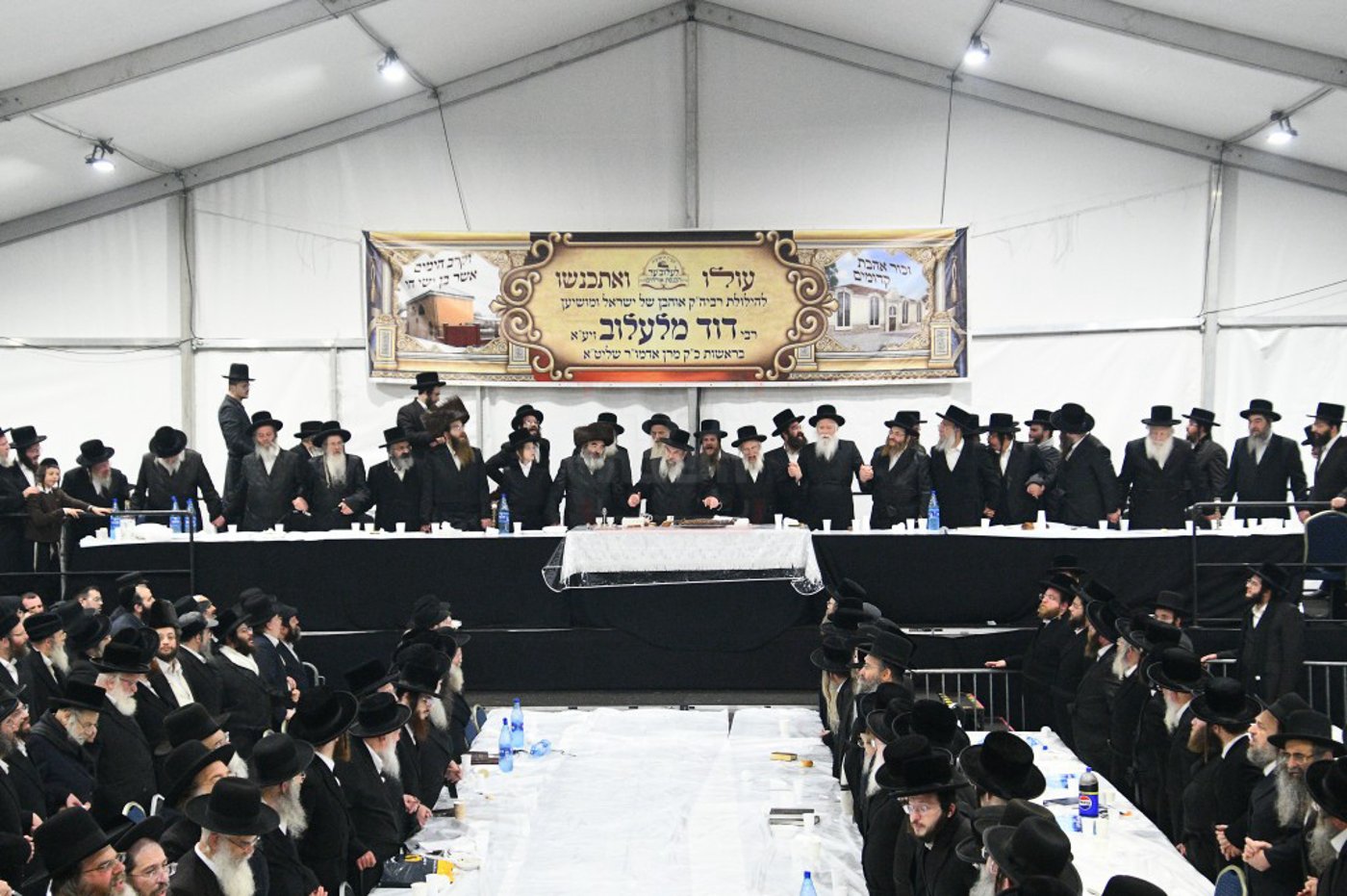 הילולא קדישא בלעלוב