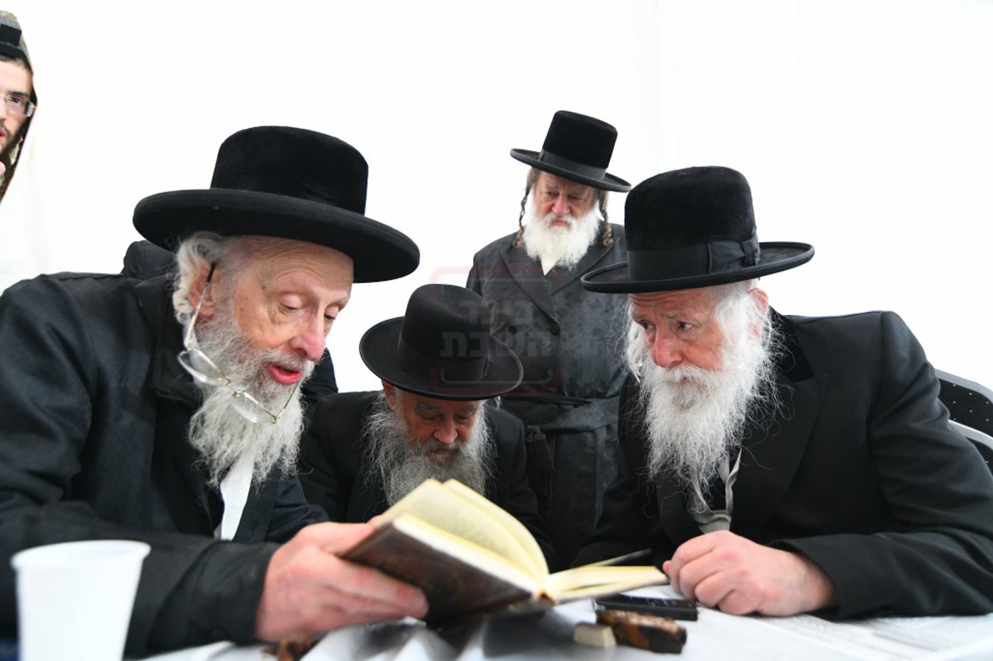 הילולא קדישא בלעלוב