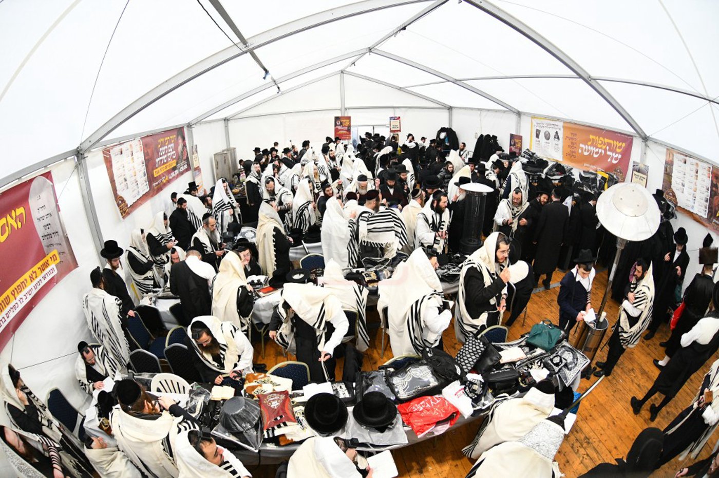 הילולא קדישא בלעלוב