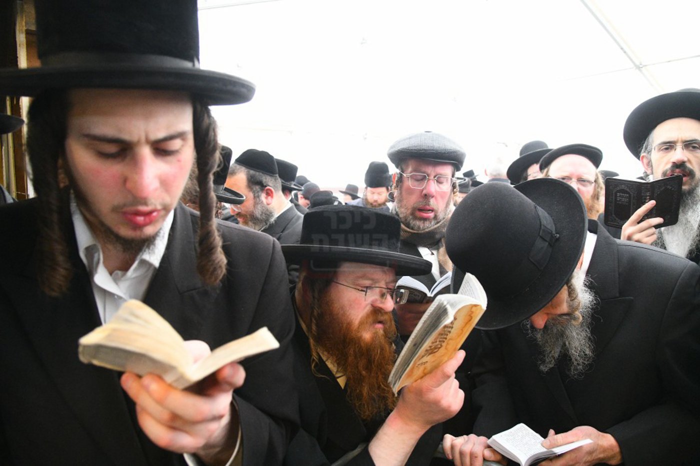 הילולא קדישא בלעלוב