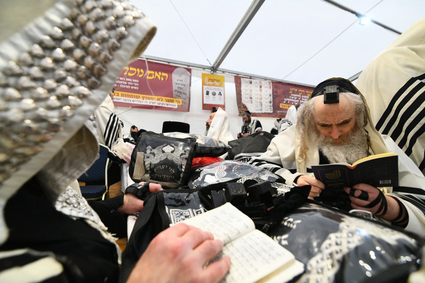 הילולא קדישא בלעלוב