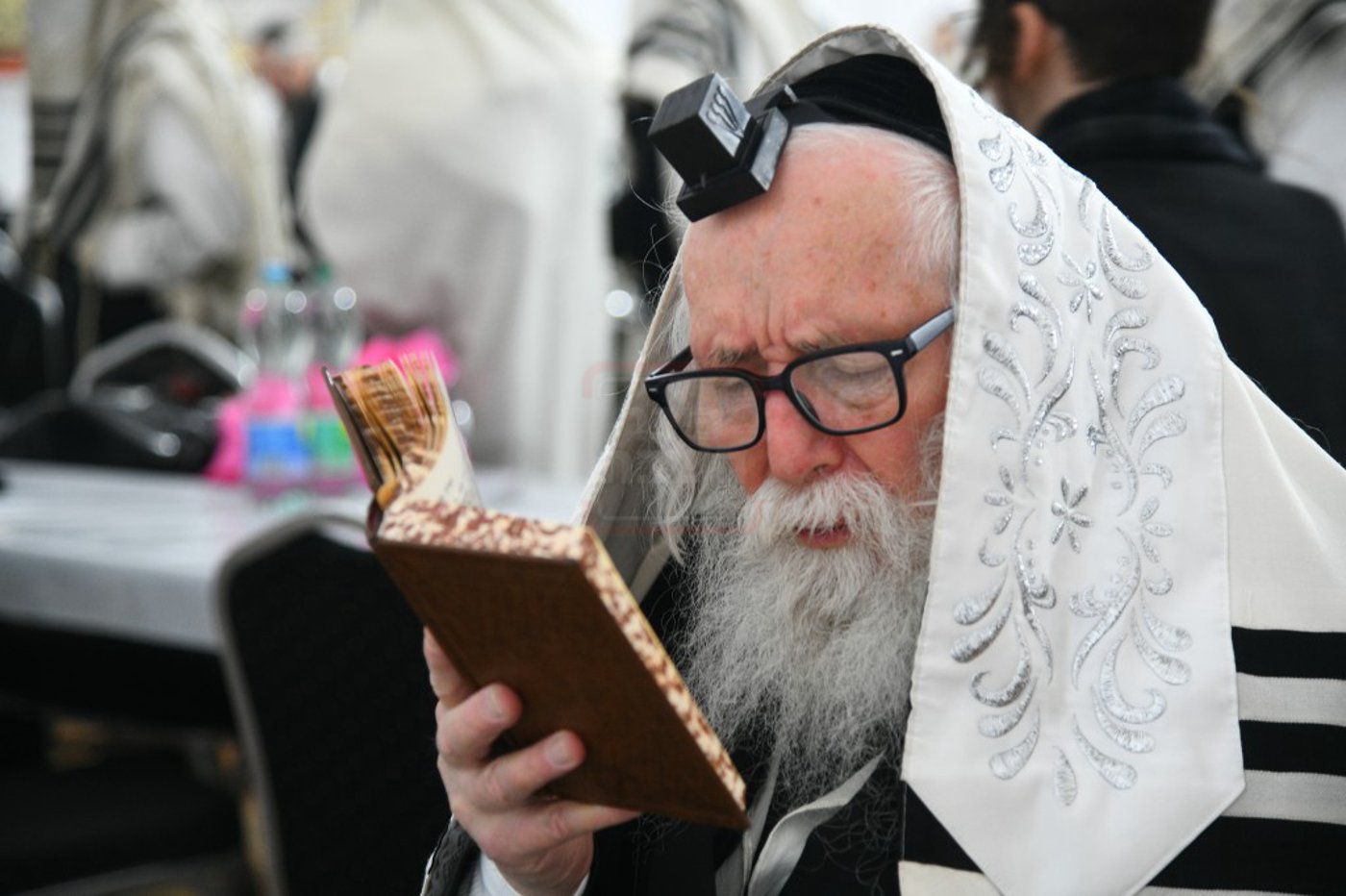 הילולא קדישא בלעלוב