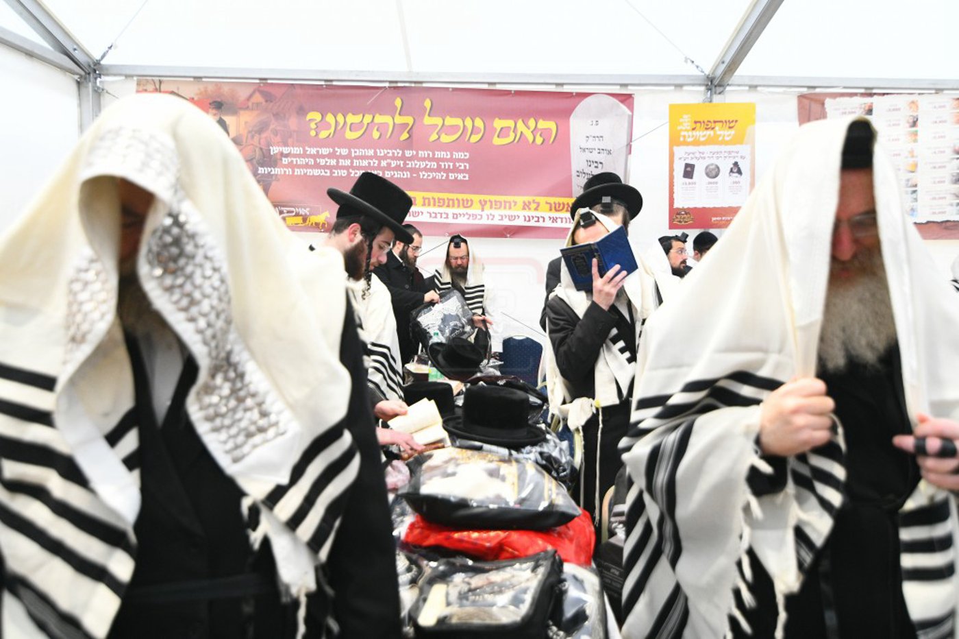 הילולא קדישא בלעלוב