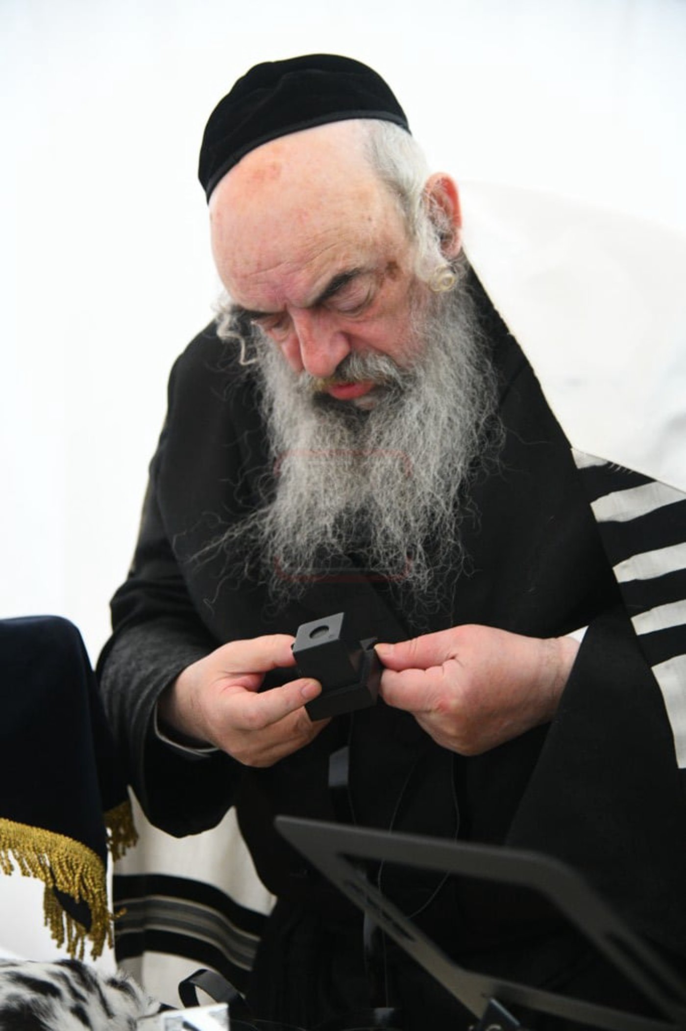 הילולא קדישא בלעלוב