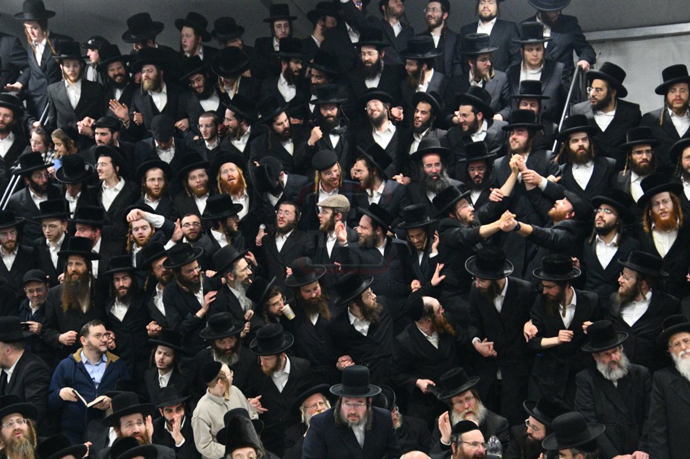 הילולא קדישא בלעלוב