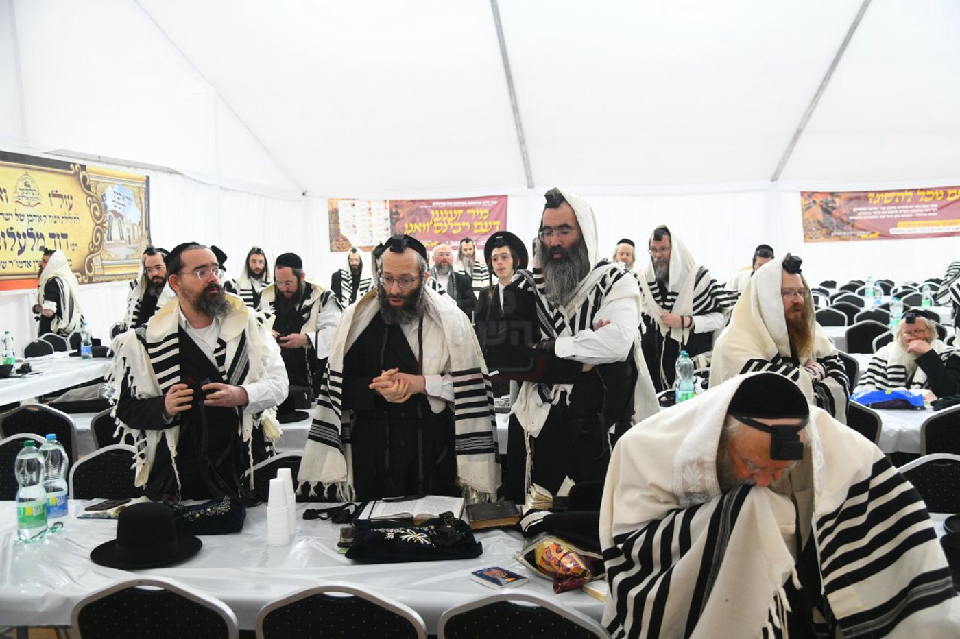 הילולא קדישא בלעלוב