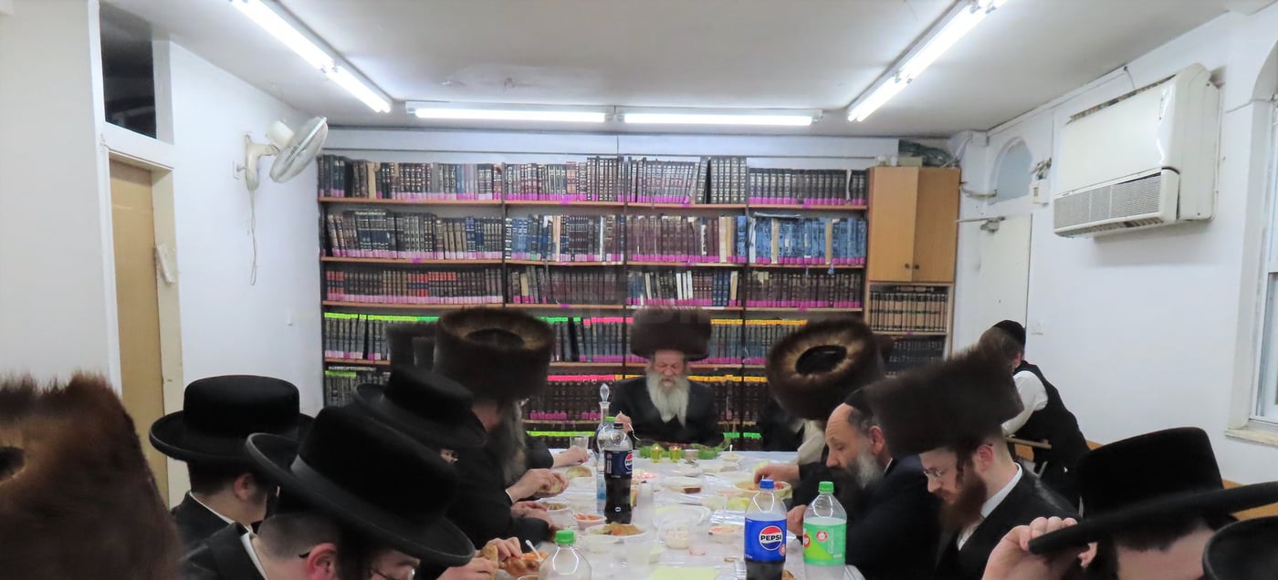 ז' שבט בלעלוב בראנוביץ