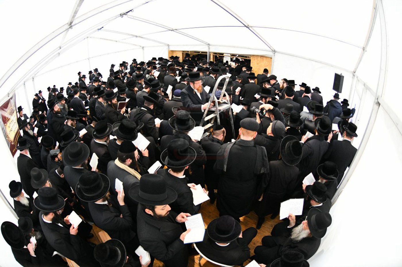 הילולא קדישא בלעלוב