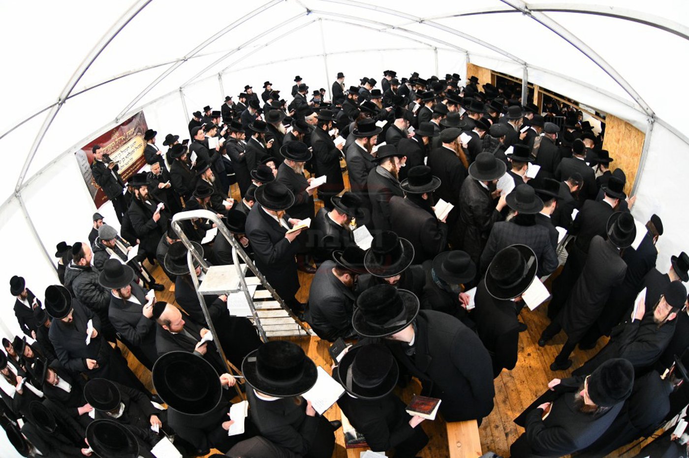 הילולא קדישא בלעלוב