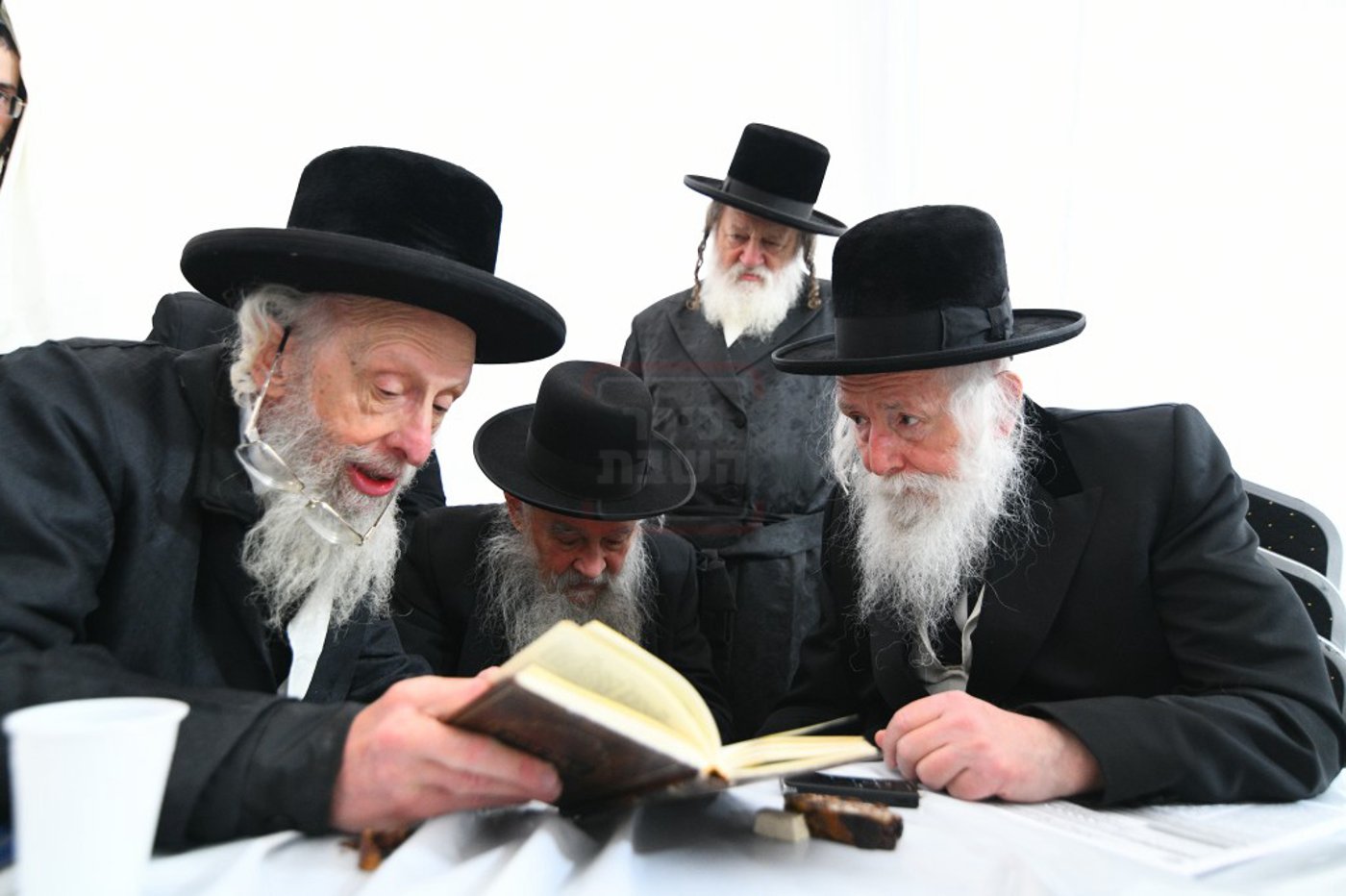 הילולא קדישא בלעלוב