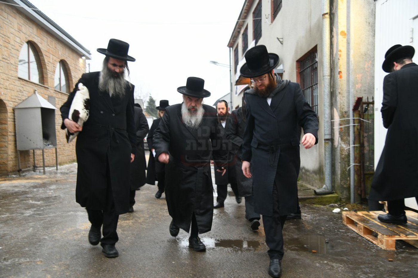 הילולא קדישא בלעלוב