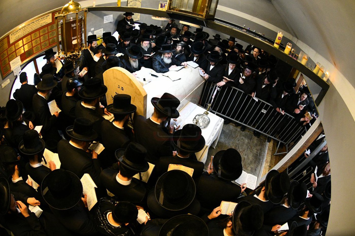 הילולא קדישא בלעלוב