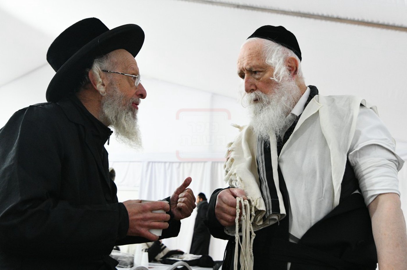 הילולא קדישא בלעלוב