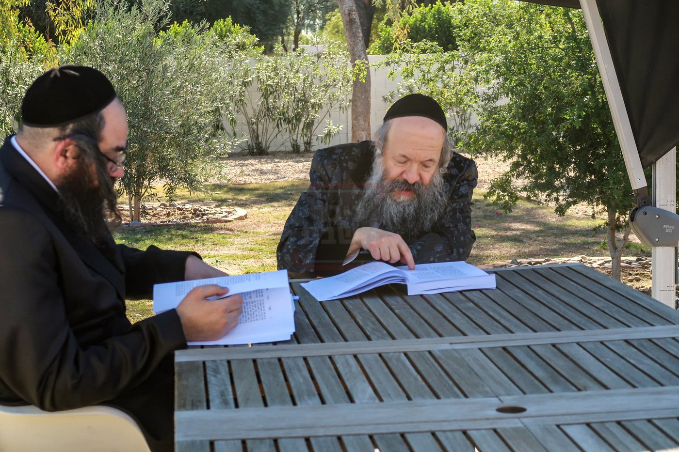 האדמו"ר מבאבוב 45 במנוחה בעיר סקוטסדייל שבאריזונה 