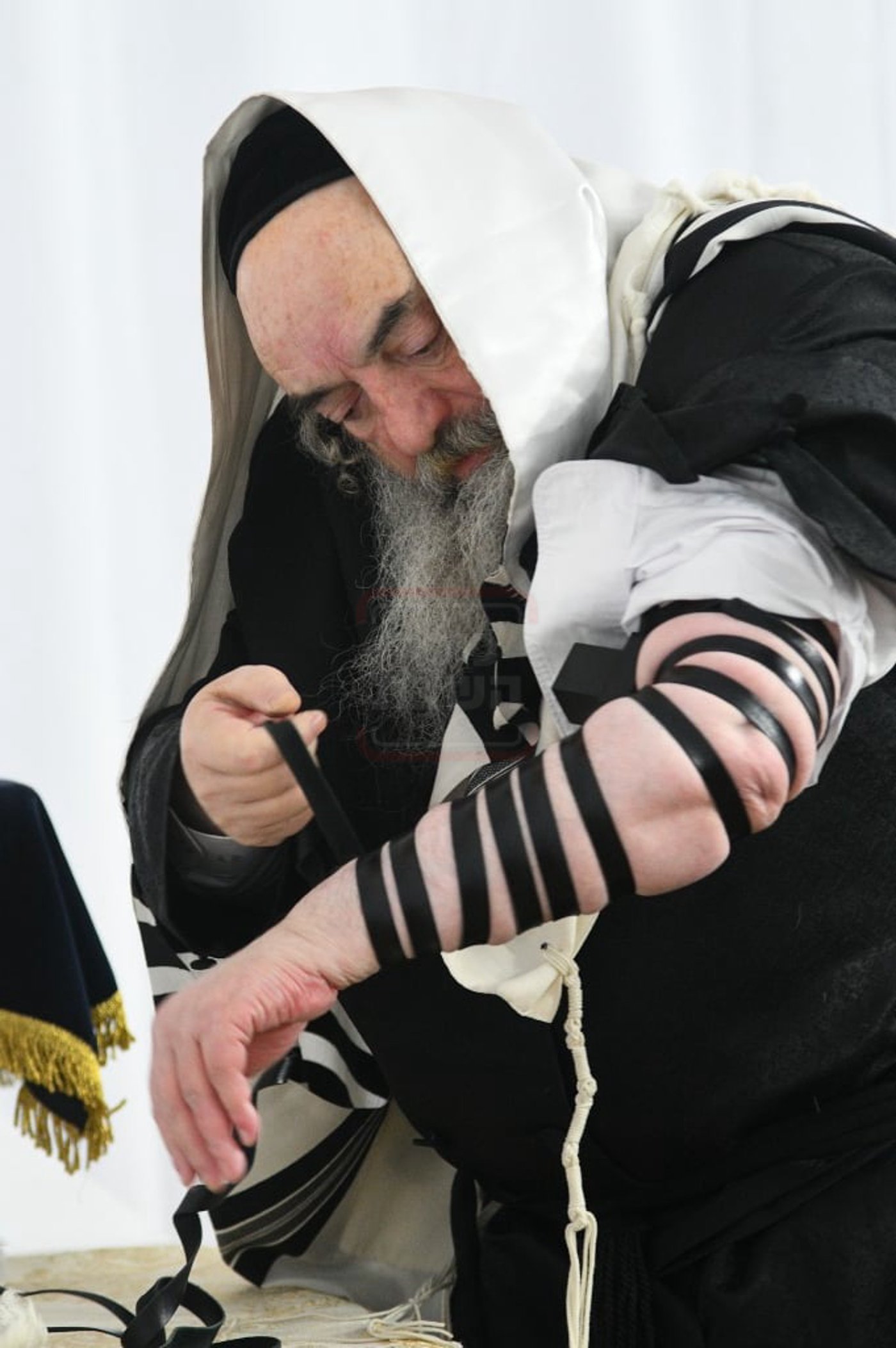 הילולא קדישא בלעלוב