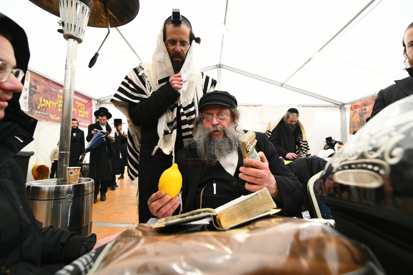 הילולא קדישא בלעלוב