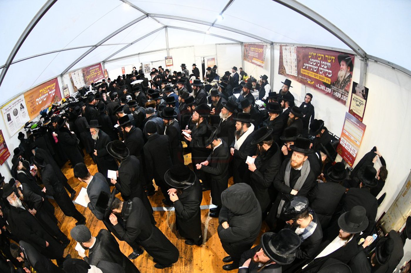 הילולא קדישא בלעלוב