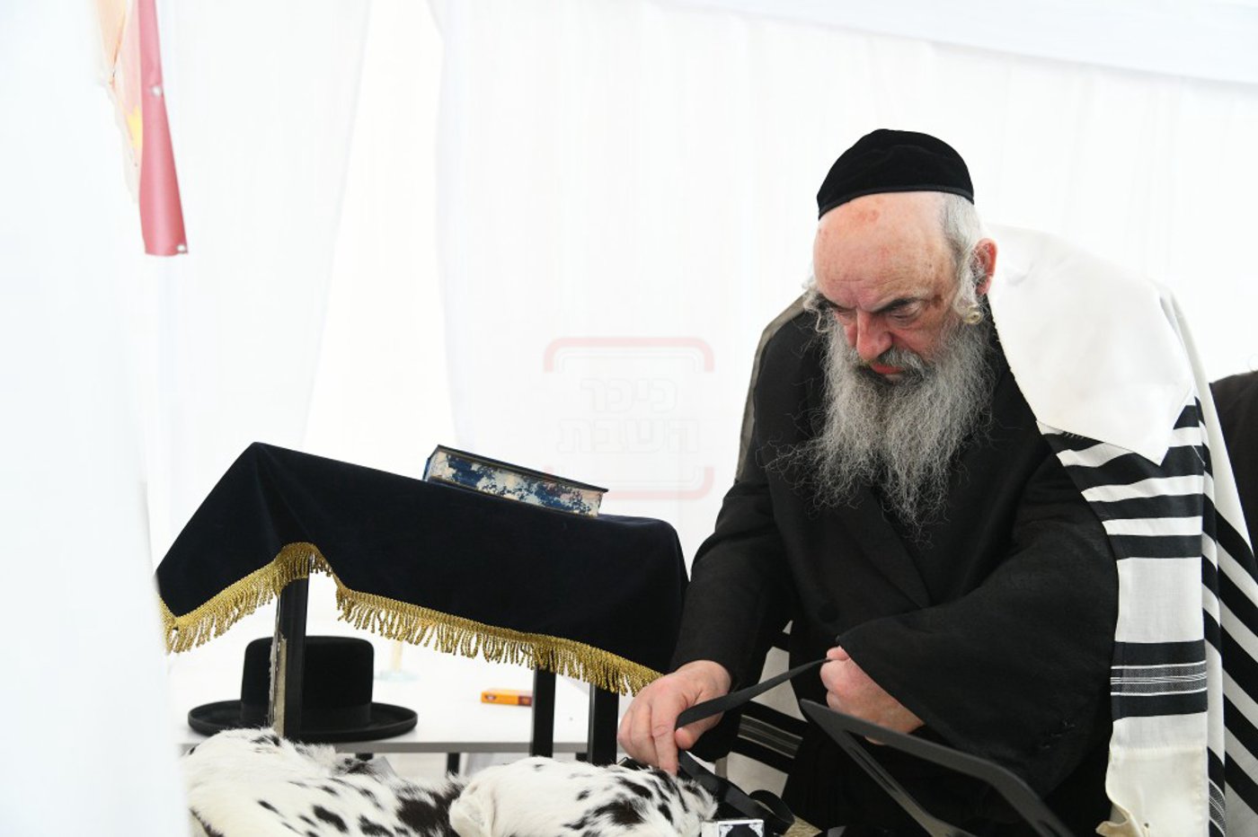 הילולא קדישא בלעלוב