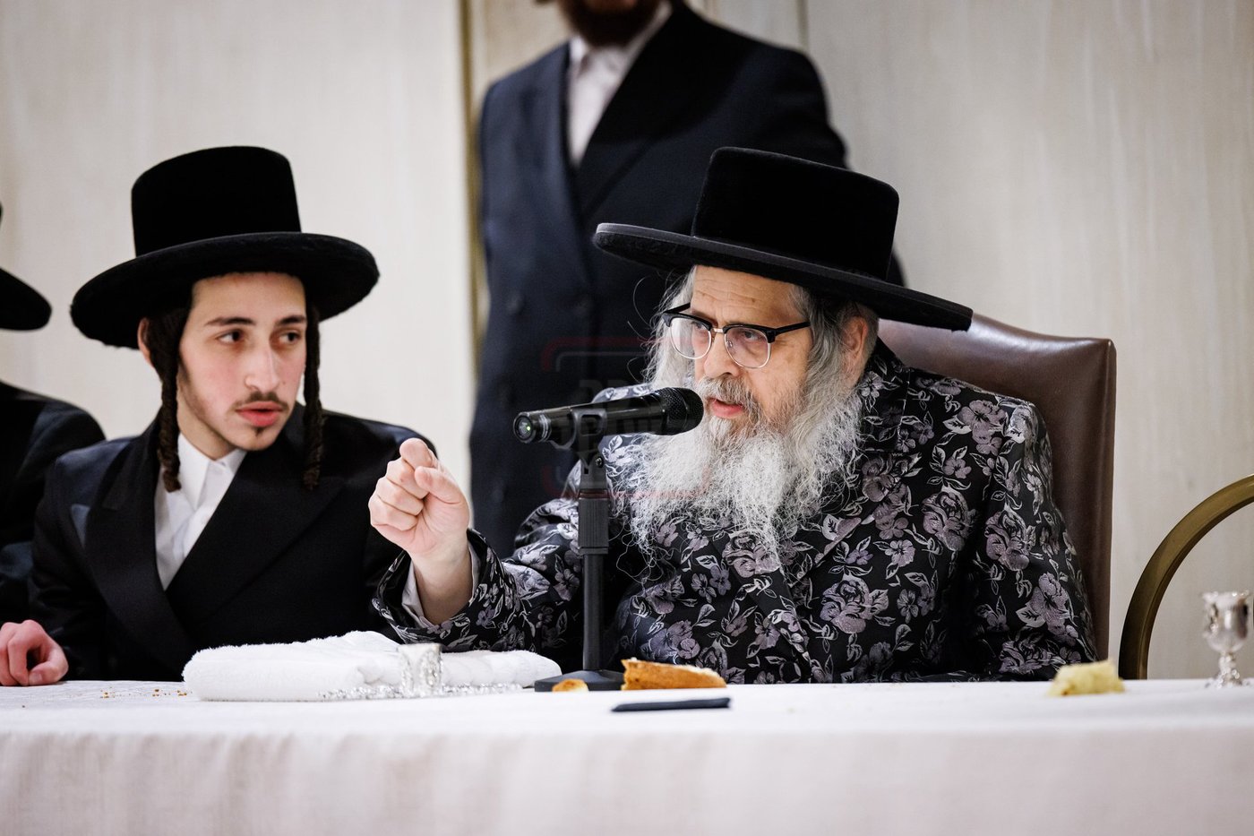 שמחת התנאים בבית סאטמאר - סיגוט - ספינקא - פאפא בארא פארק