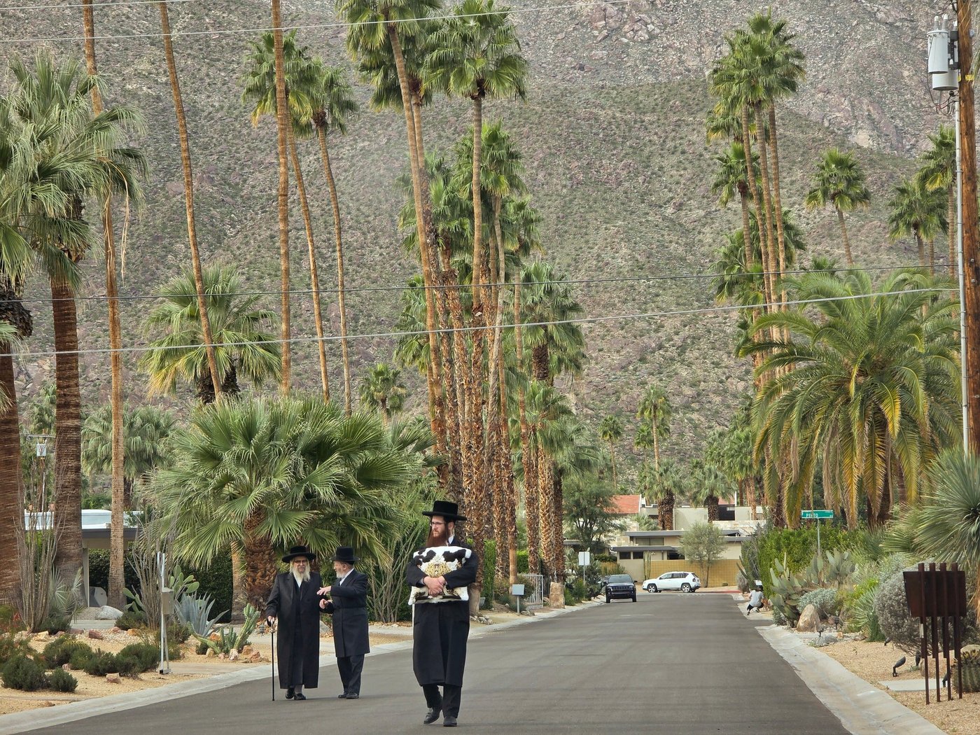 האדמו"ר מסאטמר במנוחה בפאלם ספרינגס