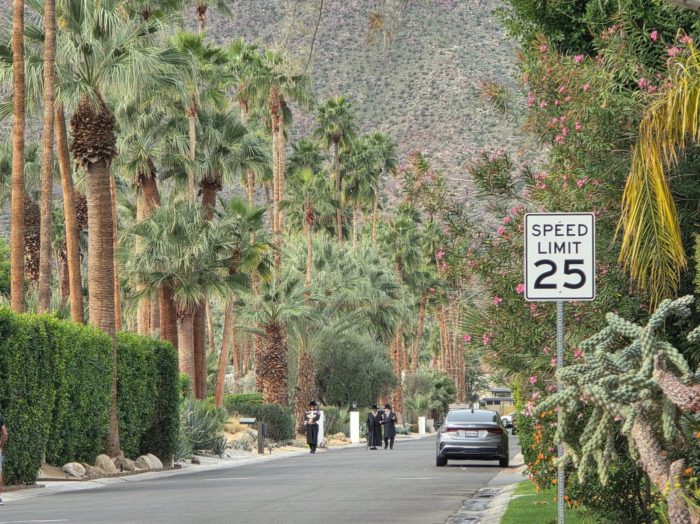 האדמו"ר מסאטמר במנוחה בפאלם ספרינגס