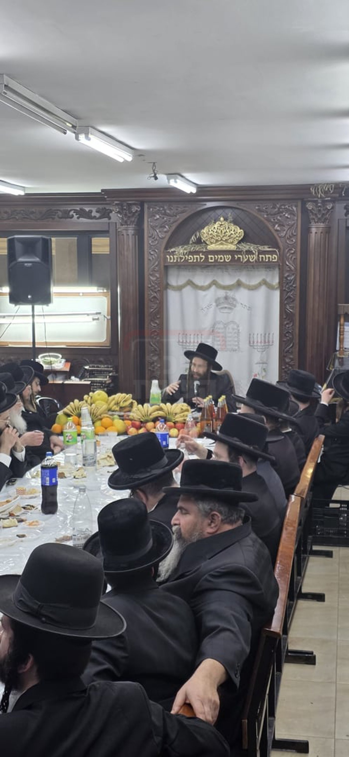 האדמו"ר מספינקא גני גד בטיש ט"ו בשבט