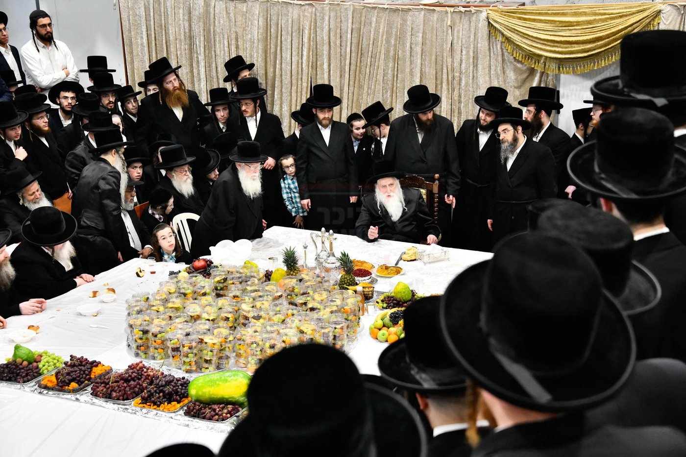 האדמו"ר ממחנובקא בעלזא בטיש ט"ו בשבט