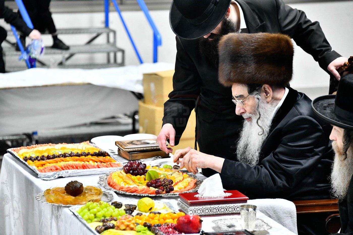 האדמו"ר מאלכסנדר בטיש ט"ו בשבט