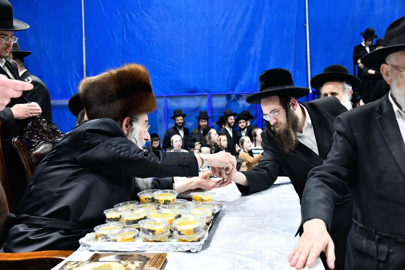 האדמו"ר מאלכסנדר בטיש ט"ו בשבט