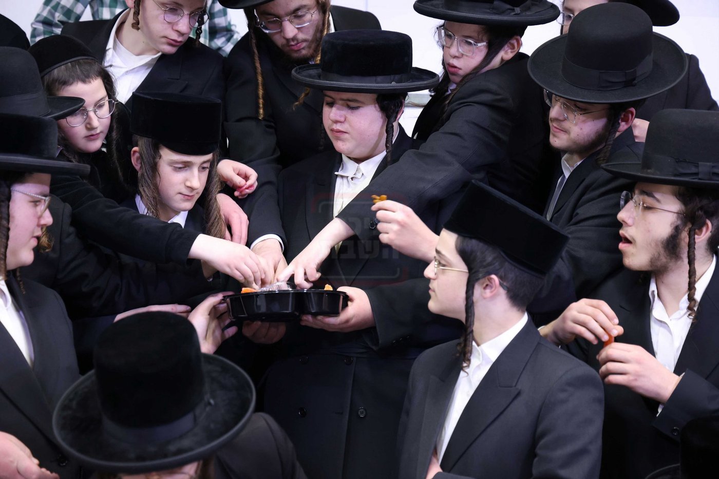 האדמו"ר מדינוב בטיש ט"ו בשבט