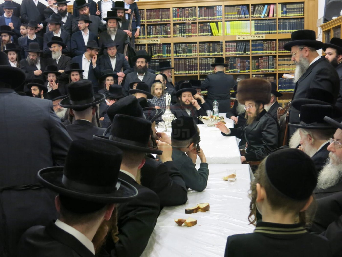 האדמו"ר מסאדיגורה בטיש ט"ו בשבט באנטווערפן