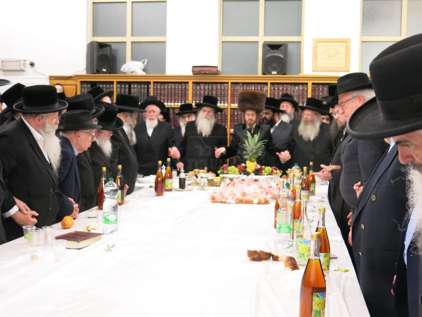 האדמו"ר מסאדיגורה בטיש ט"ו בשבט באנטווערפן