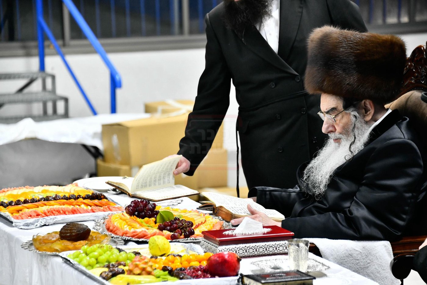 האדמו"ר מאלכסנדר בטיש ט"ו בשבט