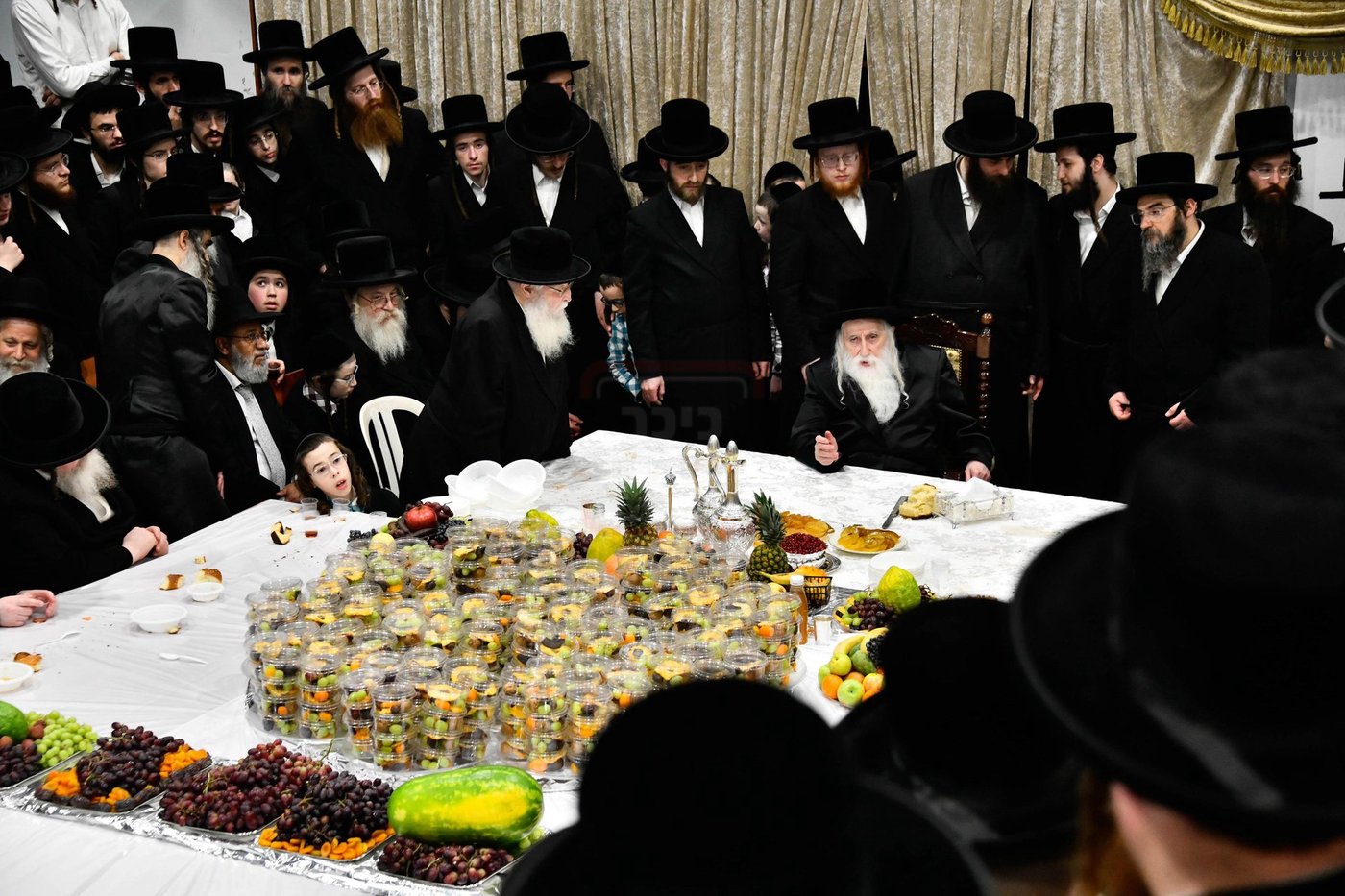 האדמו"ר ממחנובקא בעלזא בטיש ט"ו בשבט