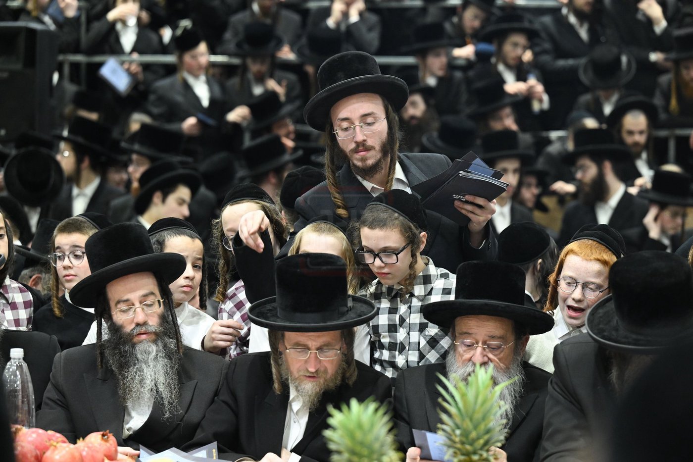 ט"ו בשבט בחצה"ק צאנז