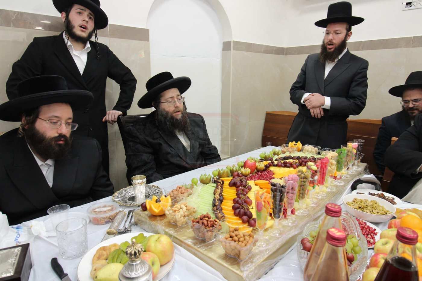 ט"ו בשבט בחצה"ק צאנז ז'ימגראד