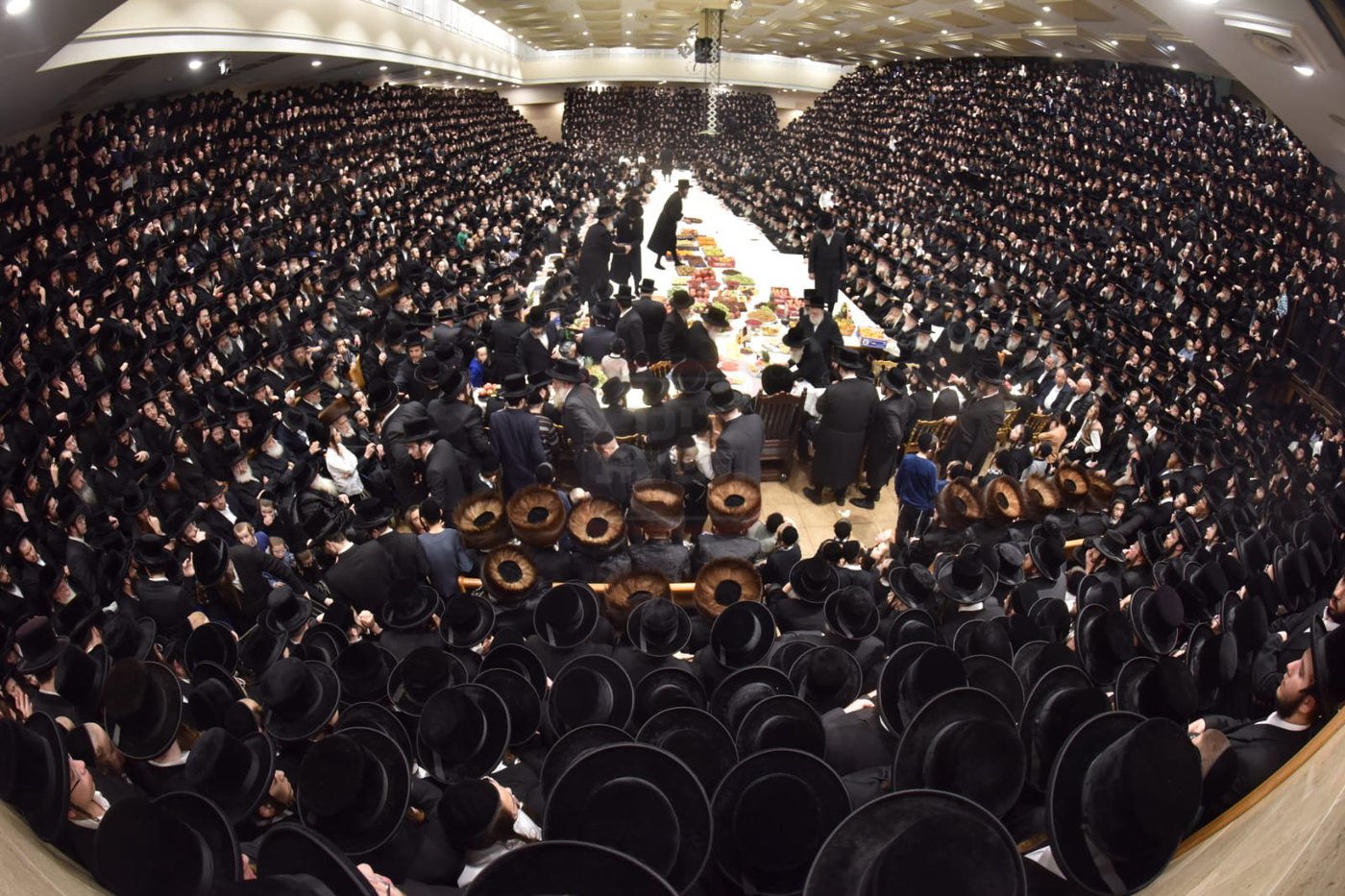 האדמו"ר מבעלזא בטיש ט"ו בשבט 