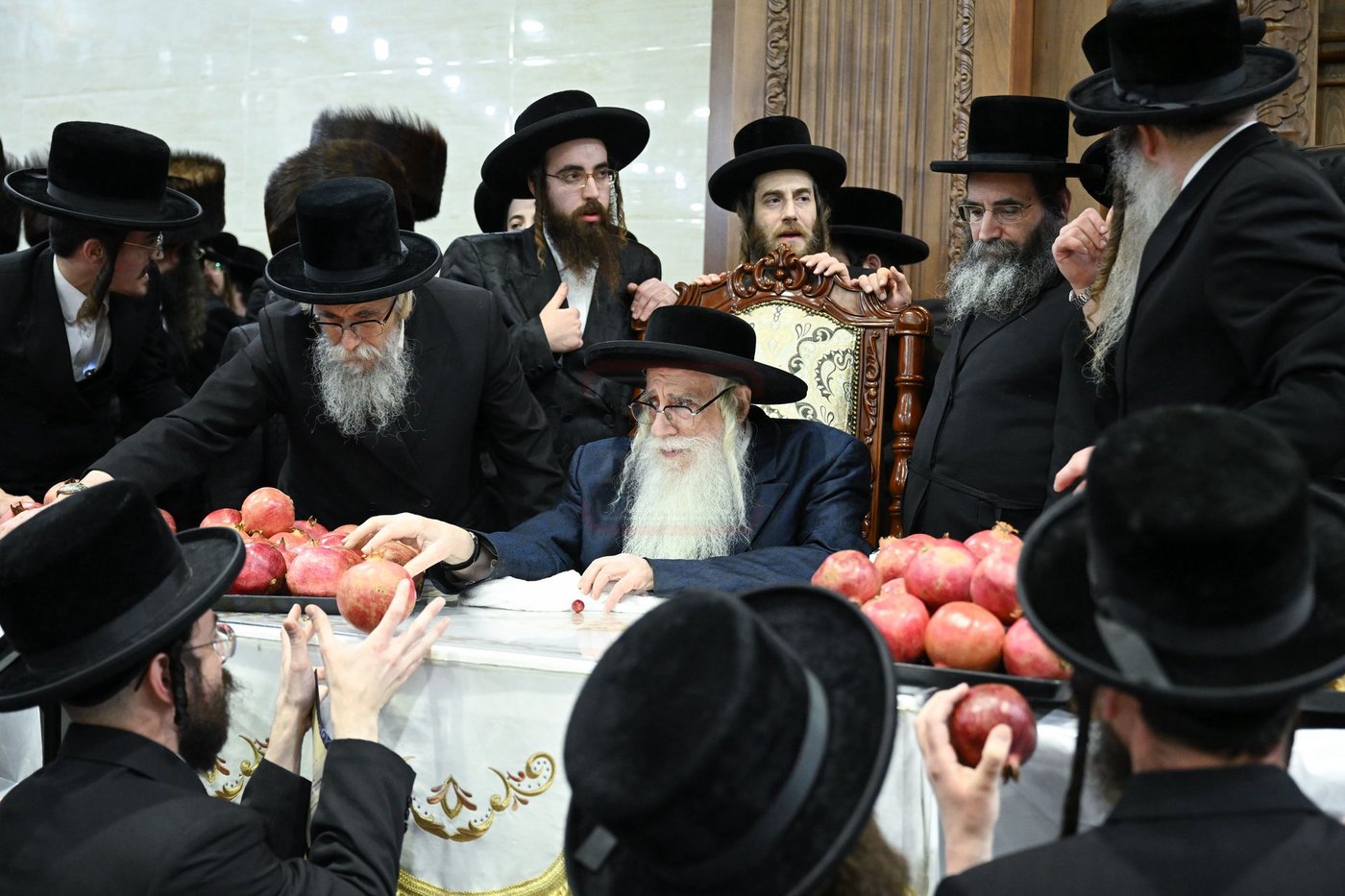 ט"ו בשבט בחצה"ק צאנז