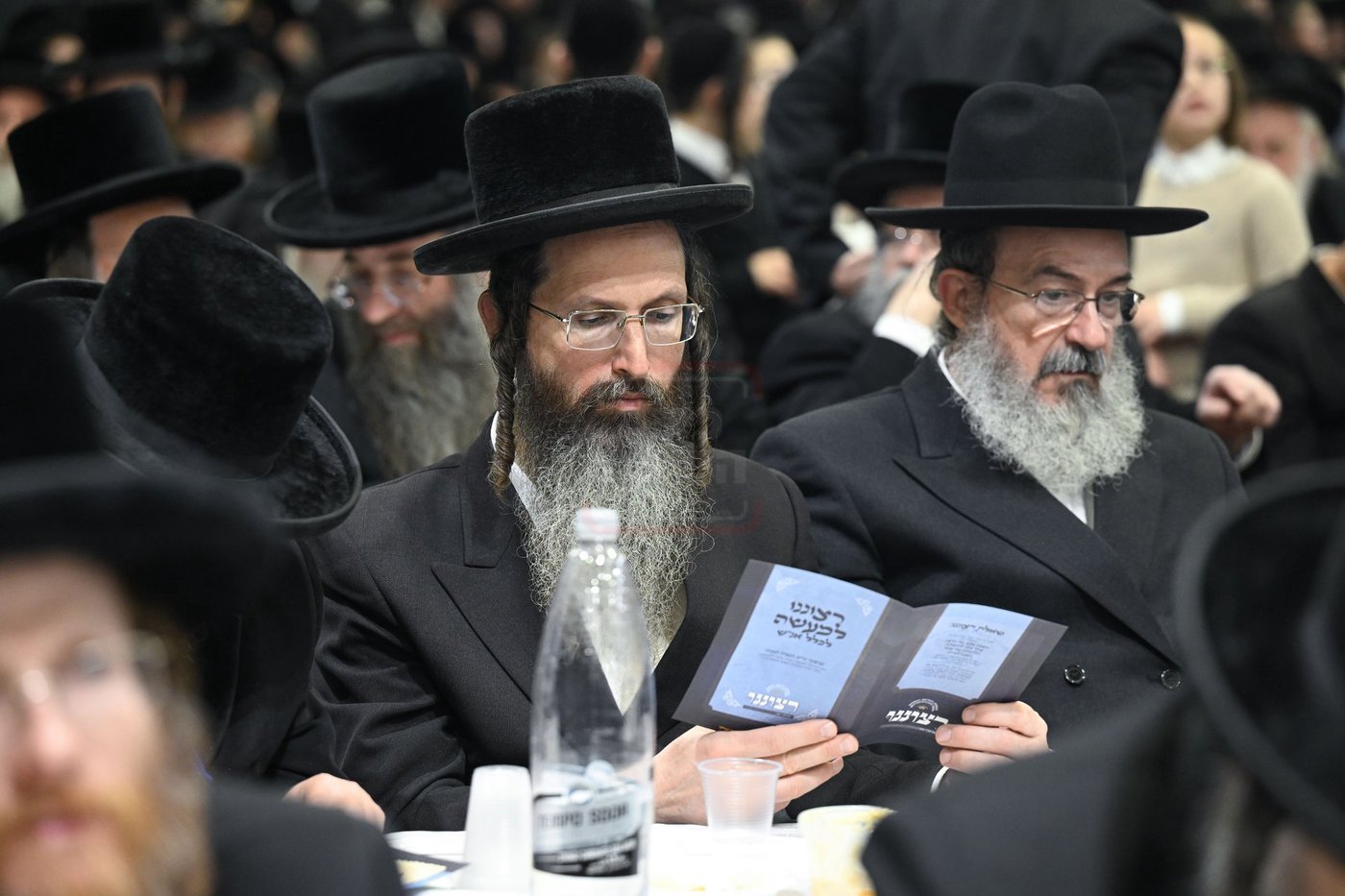 ט"ו בשבט בחצה"ק צאנז