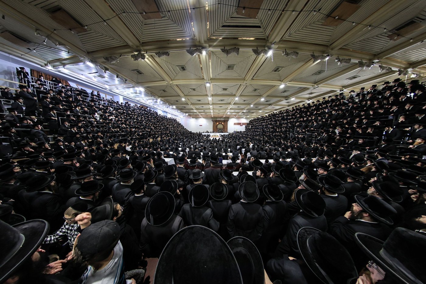 ט"ו בשבט בחצה"ק צאנז