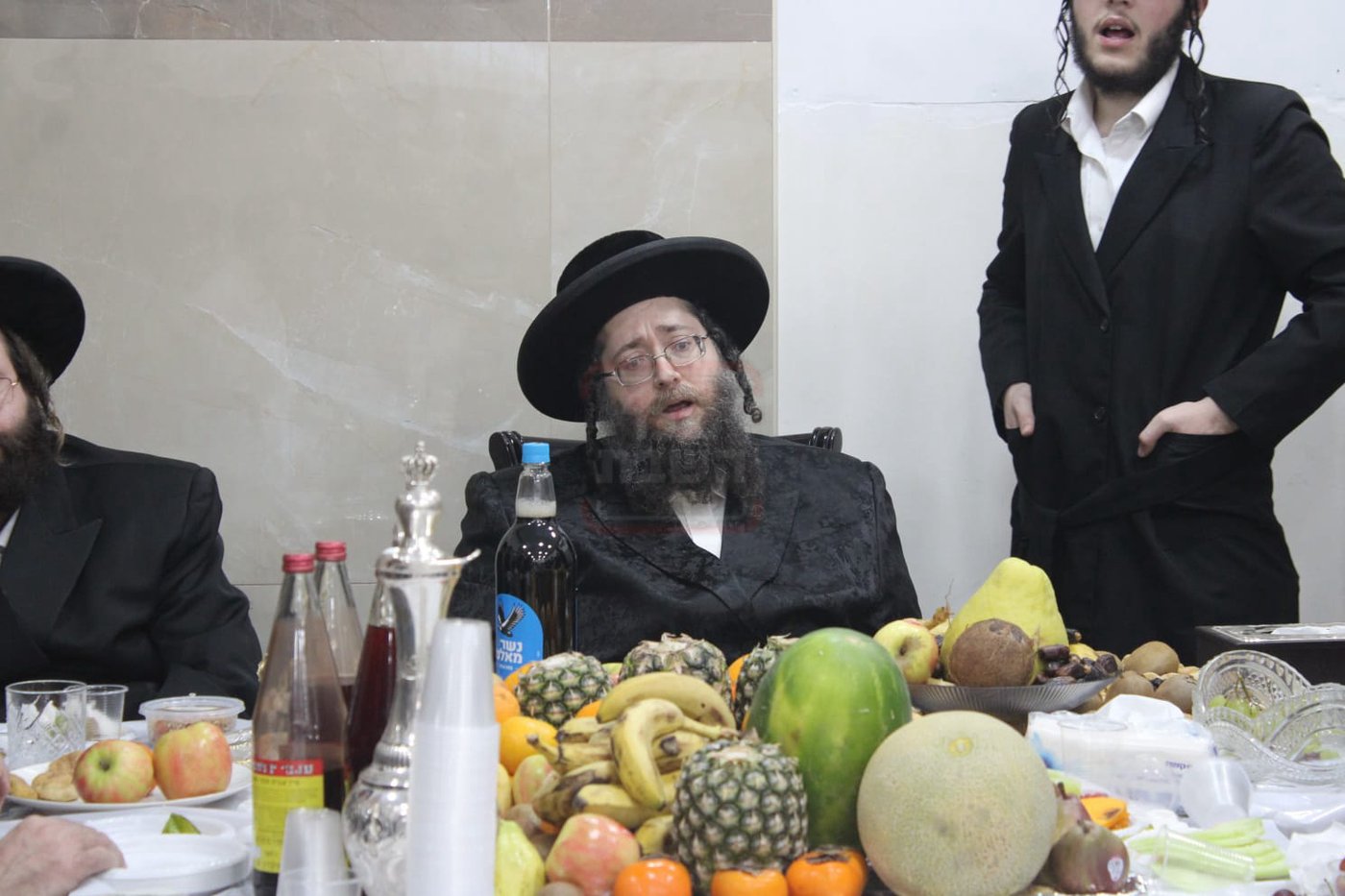 ט"ו בשבט בחצה"ק צאנז ז'ימגראד